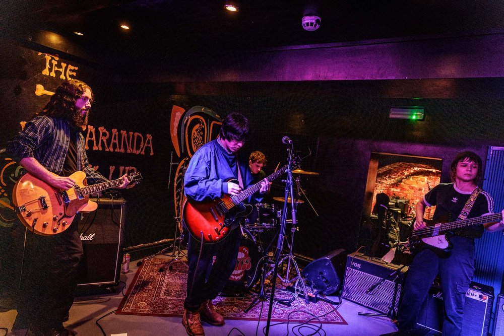 🎸 자카란다 (더 자카란다)